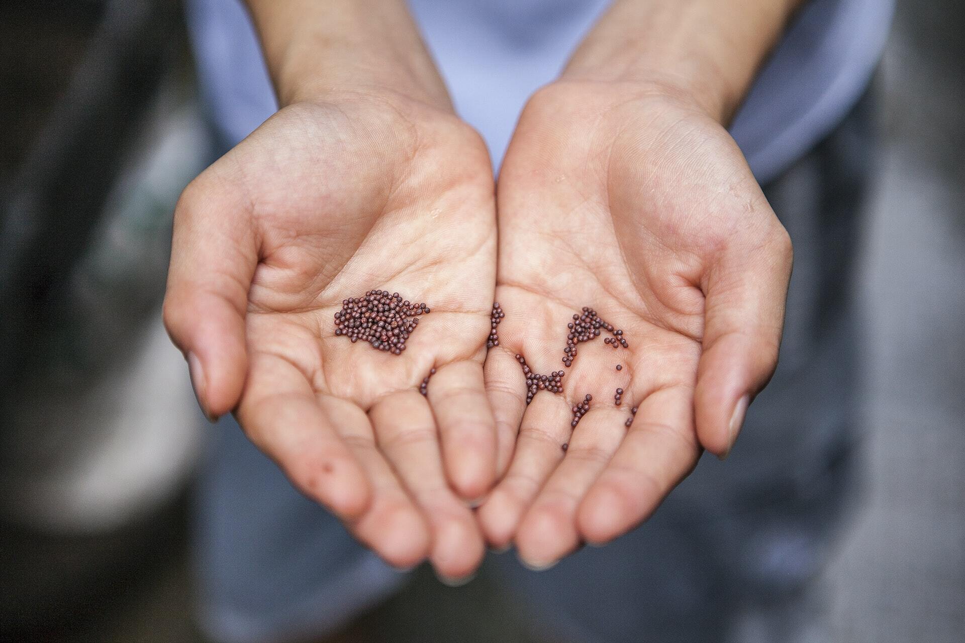 joshua lanzarini Vct0oBHNmv4 unsplash