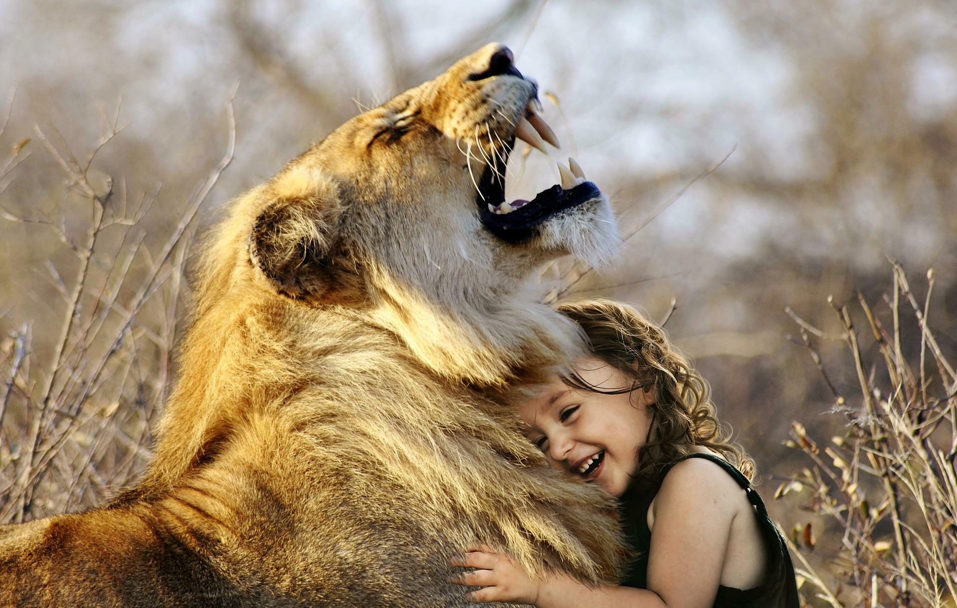 lion 3012515 1920