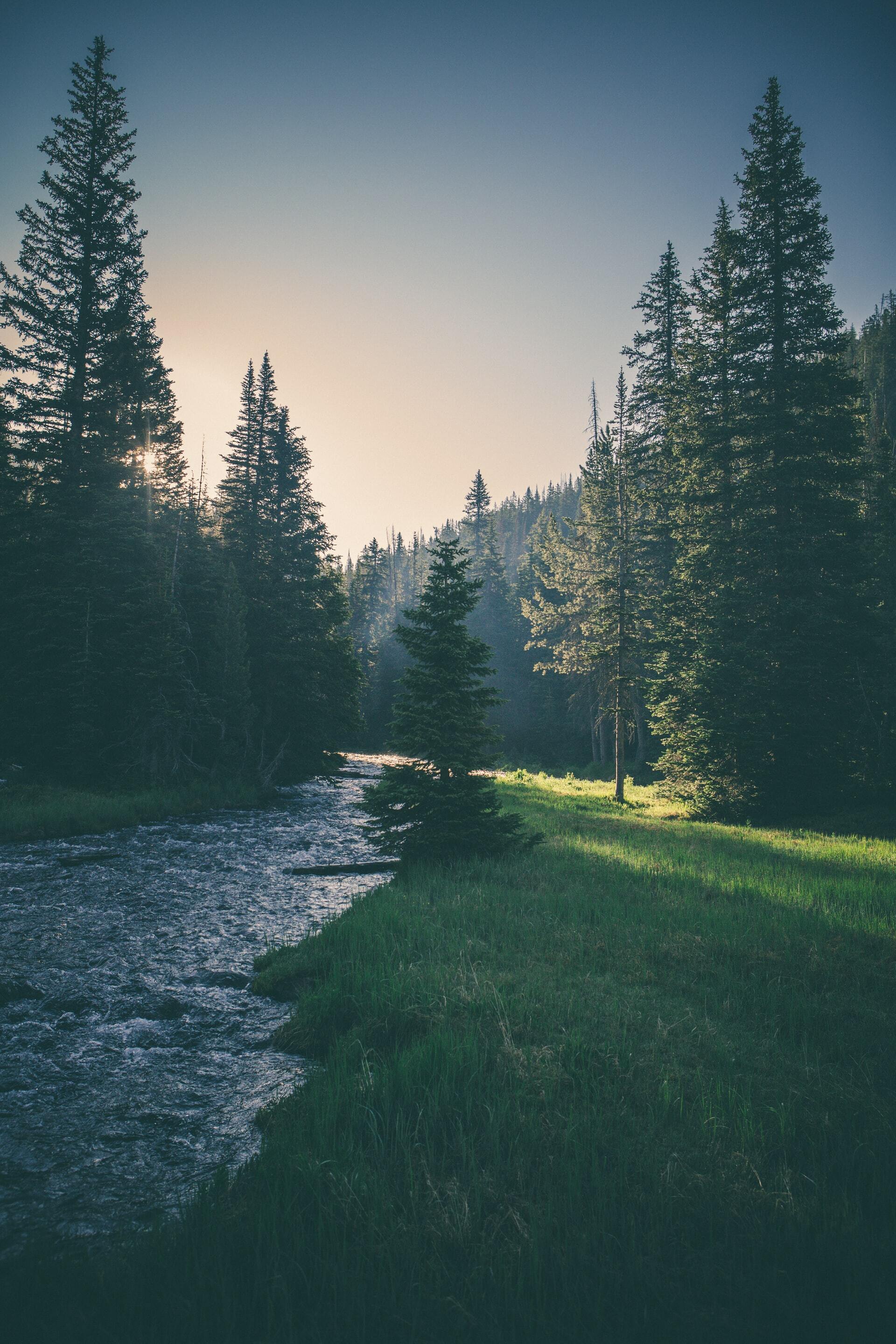matthew smith rFBA42UFpLs unsplash