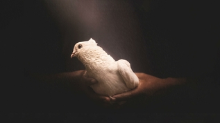 nowshad arefin EvdYEGDu CQ unsplash